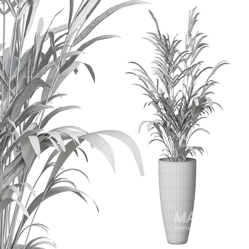 Flower set 10 - Image 3