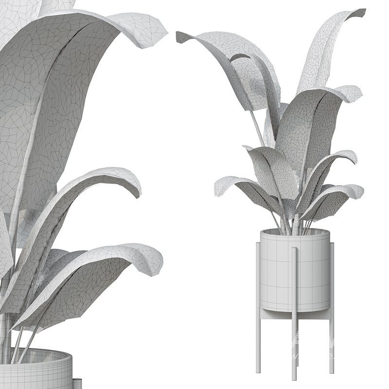 Flower set 05 - Image 3