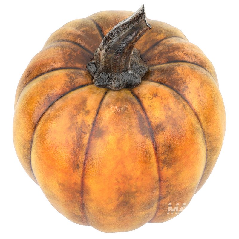 halloween pumpkin - Image 2