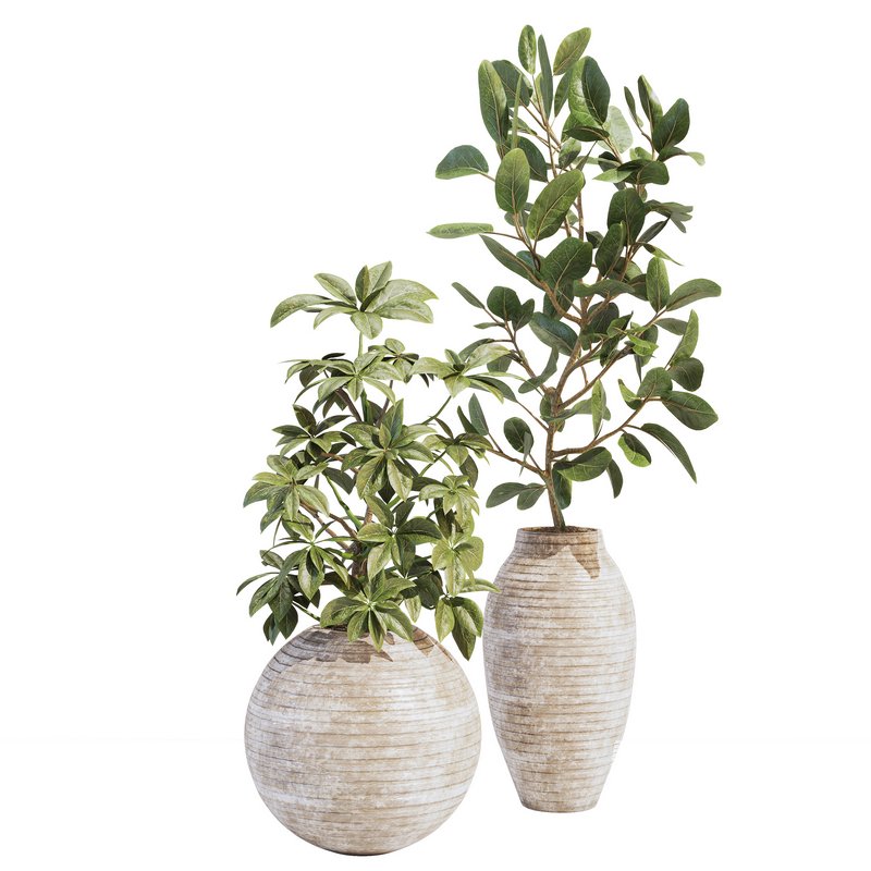 Plant_Set02 - Image 2