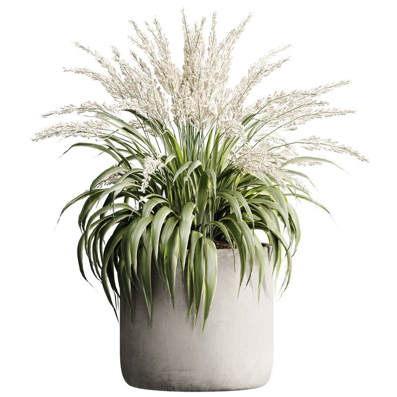 Indoor Plant 23 - Image 2