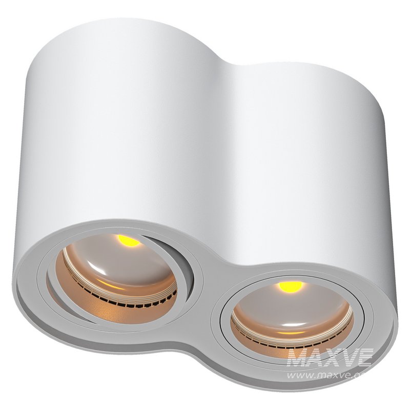 Double head - Image 1