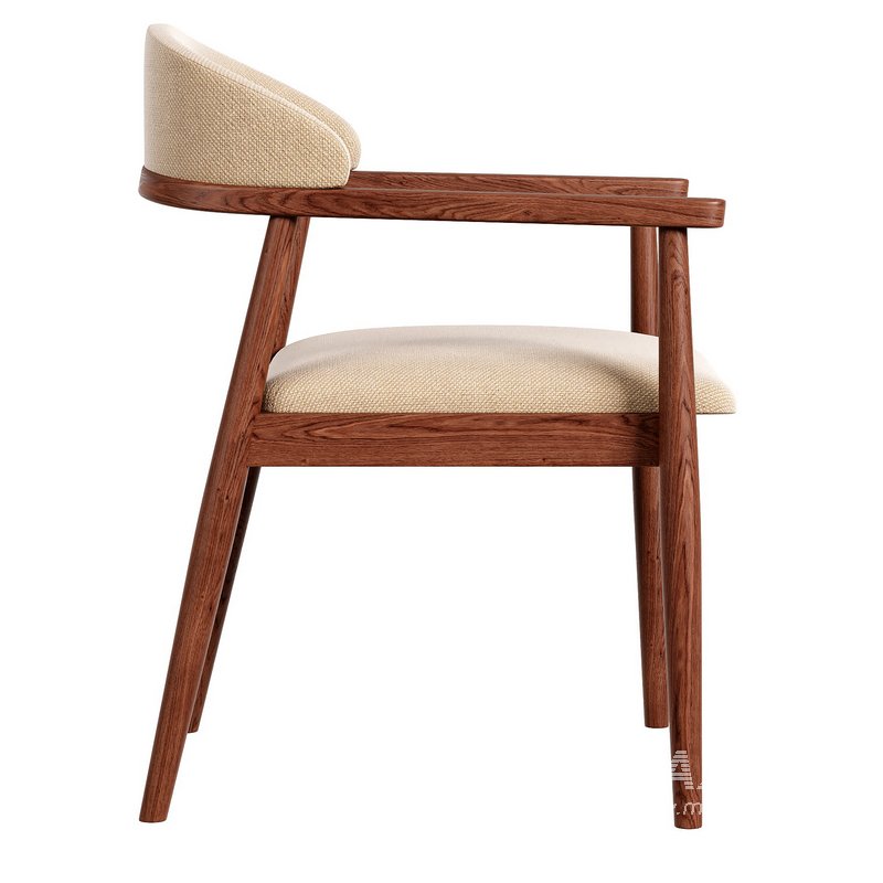 Modrest Cohen Walnut Dining Chair - Image 4