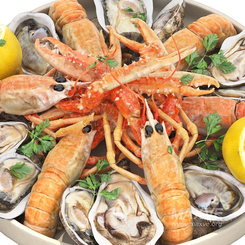 seafood plate of langoustines and oysters - Image 5