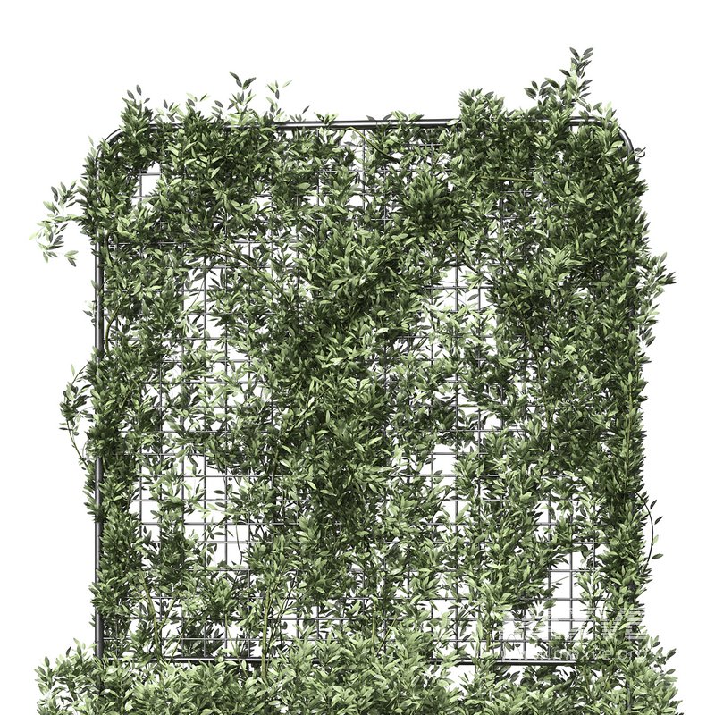 Botanical Planter 3 - Image 3