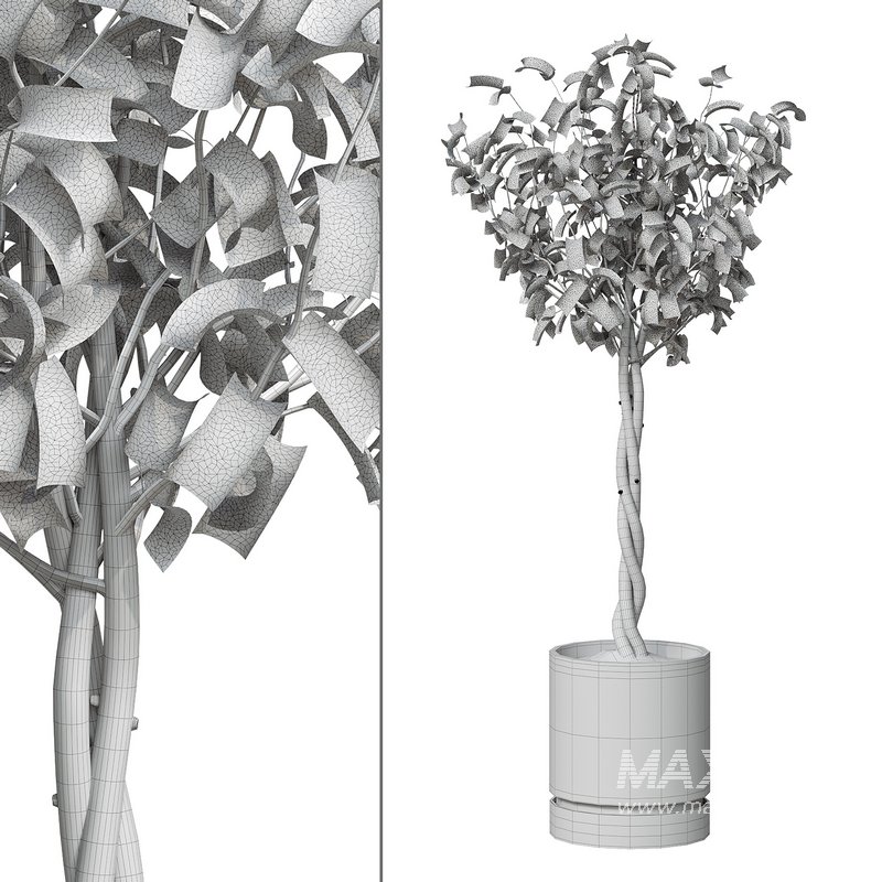 Flower set 11 - Image 3