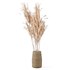 Pampas Decoration with Natural basket - Thumbnail 2