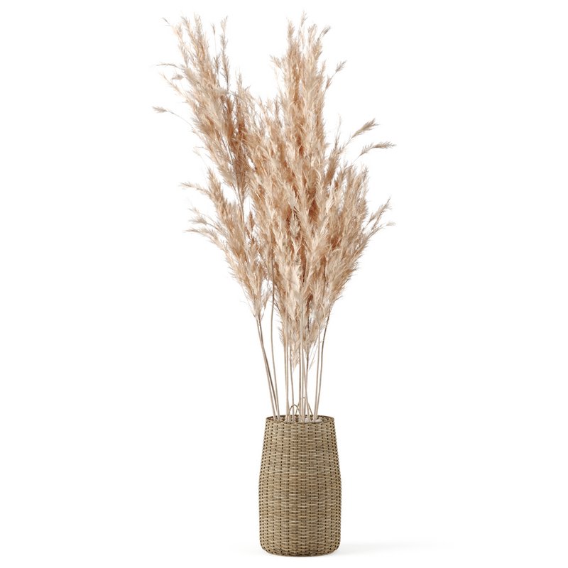 Pampas Decoration with Natural basket - Image 2