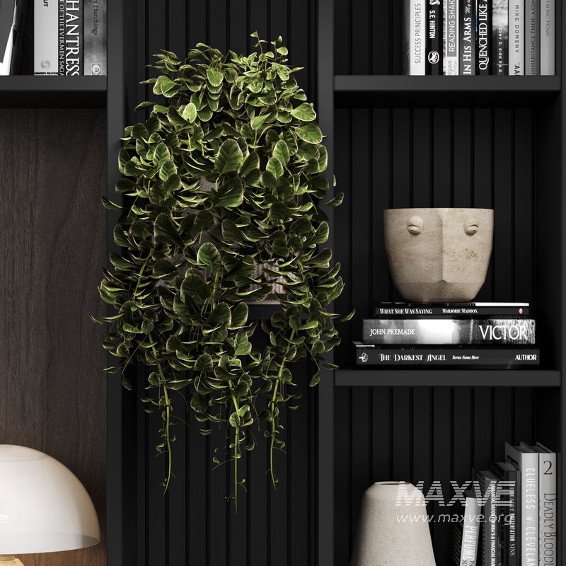 109 bookcase 109 - Image 2