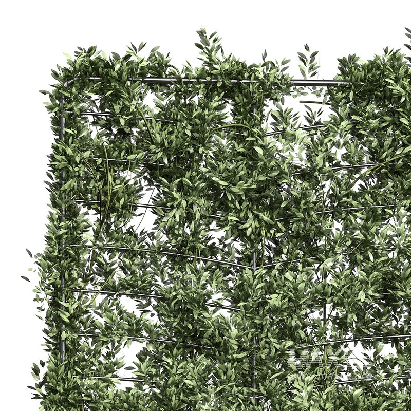 Botanical Planter 4 - Image 3