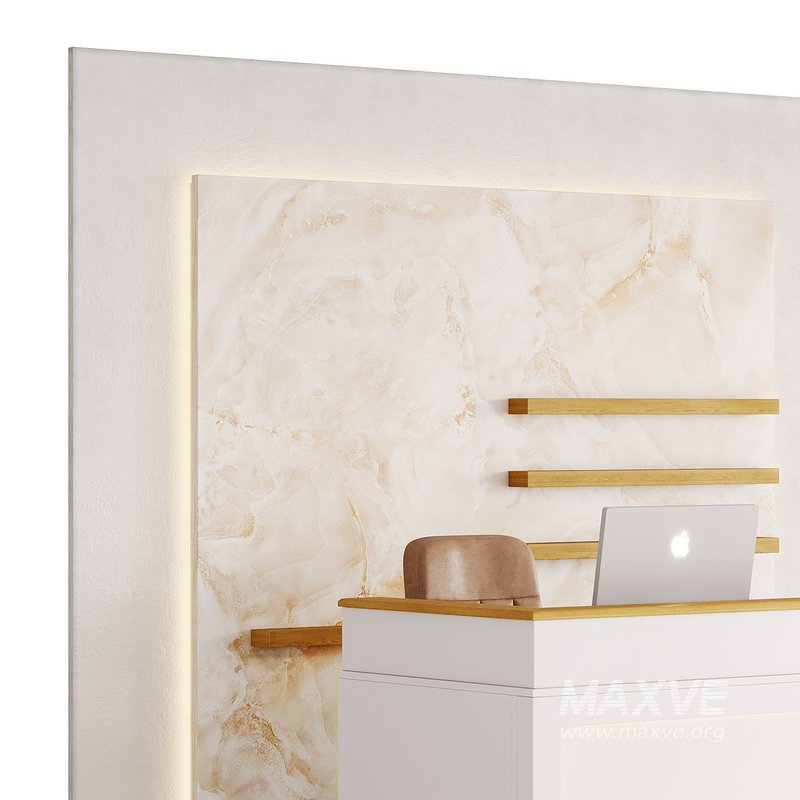 Contemporary Reception 11 - Image 5