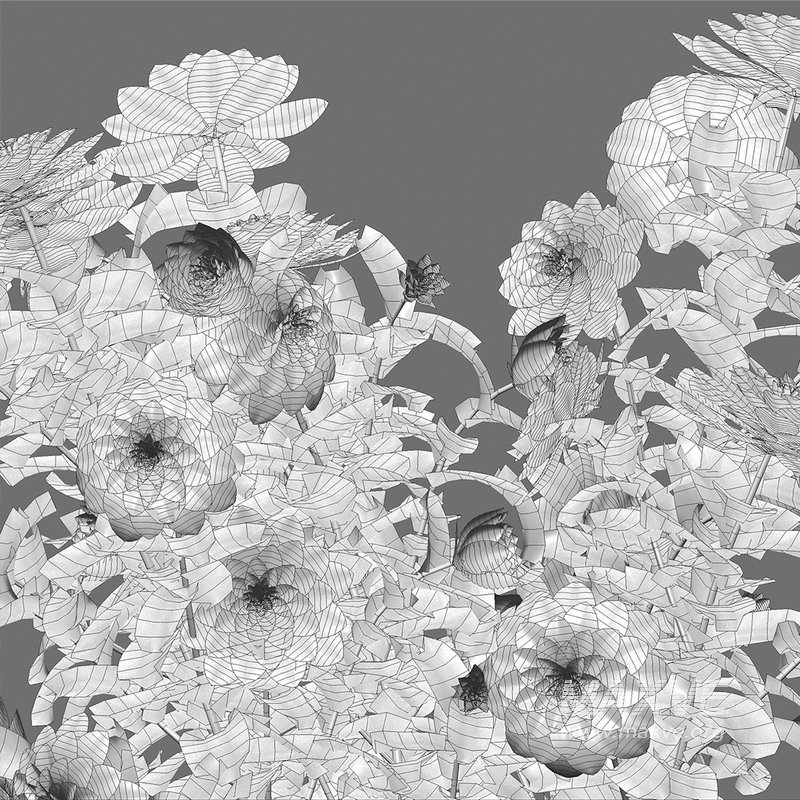 Dahlia flowers 02 - Image 4