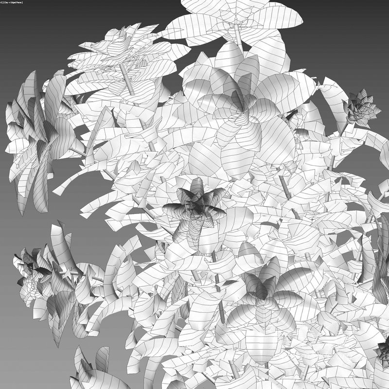 Dahlia flowers 02 - Image 3