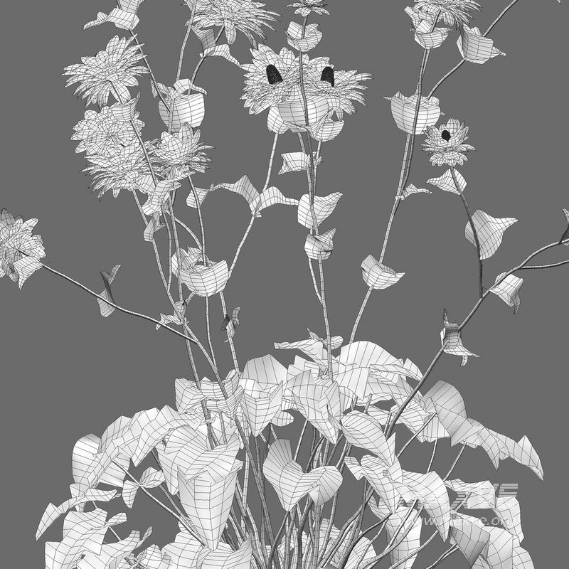 Eryngium alpinum Sea Holly – Queen of the Alps - Image 5