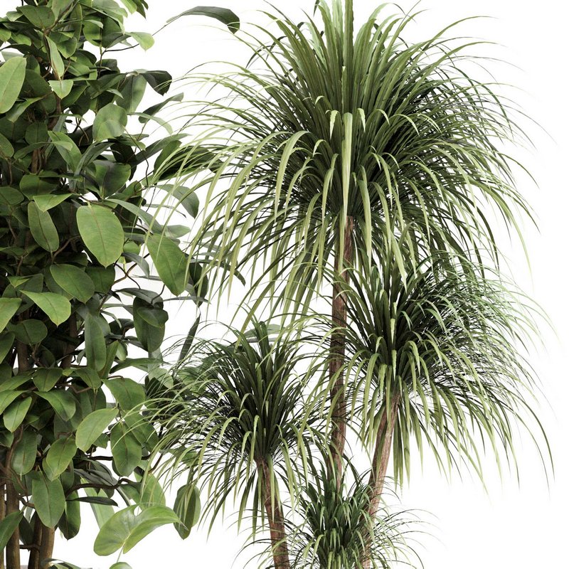 Indoor Plant Set 0113 - Image 2