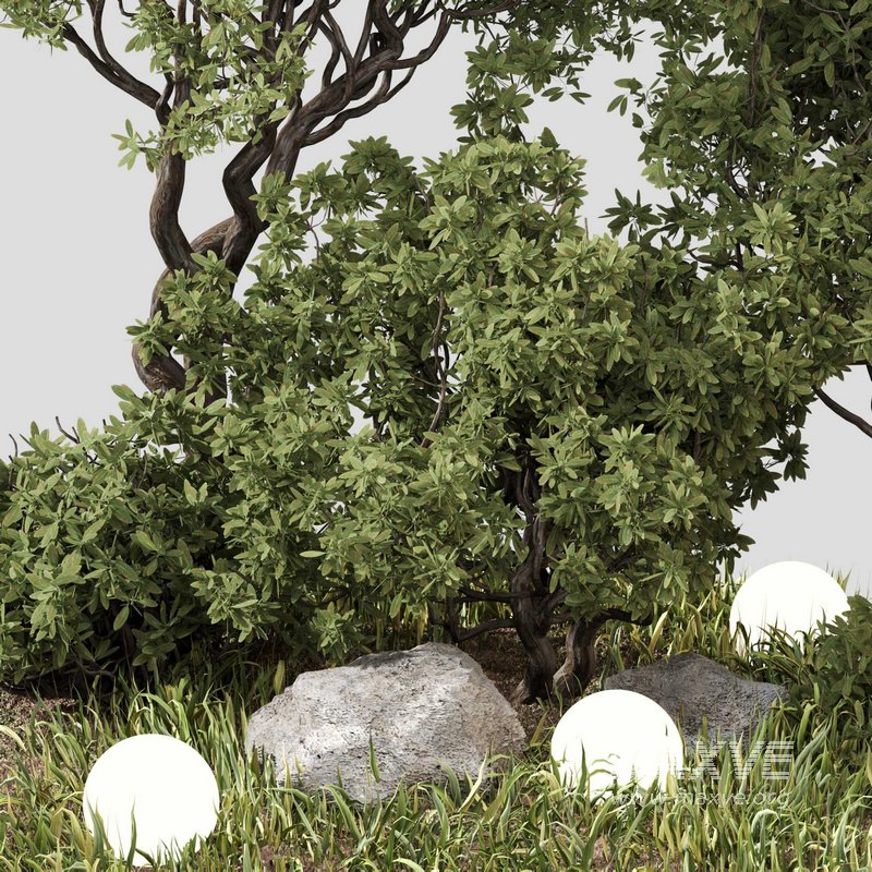 outdoor Plant Set 07 - Image 3