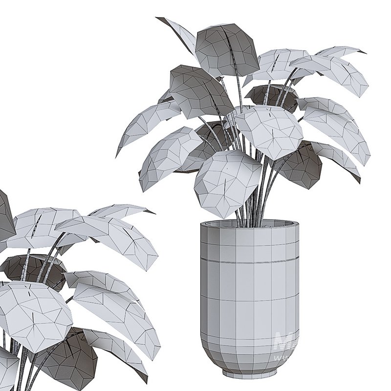 Flower set 02 - Image 4