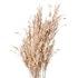 Pampas Decoration with Natural basket - Thumbnail 4