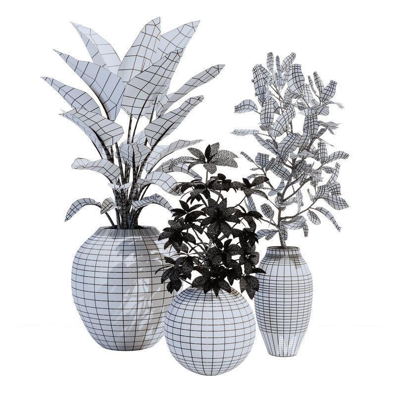 Plant_Set02 - Image 3