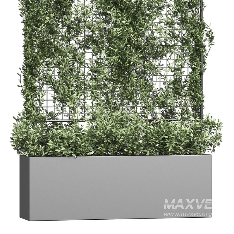 Botanical Planter 3 - Image 4