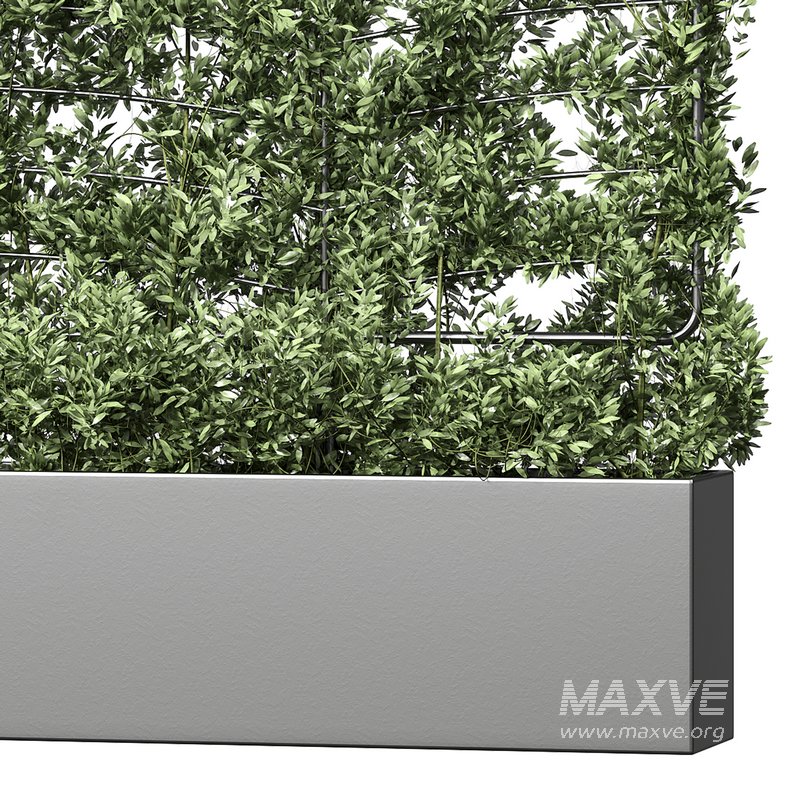 Botanical Planter 4 - Image 12