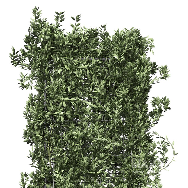 Botanical Planter 2 - Image 4