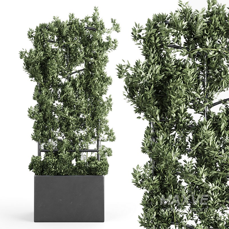 Botanical Planter - Image 4