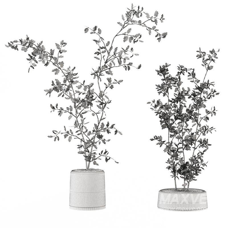 plants set 01 - Image 4