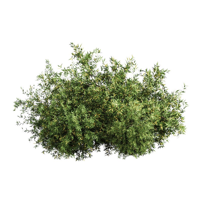 Natural Topiary Bush - Image 3