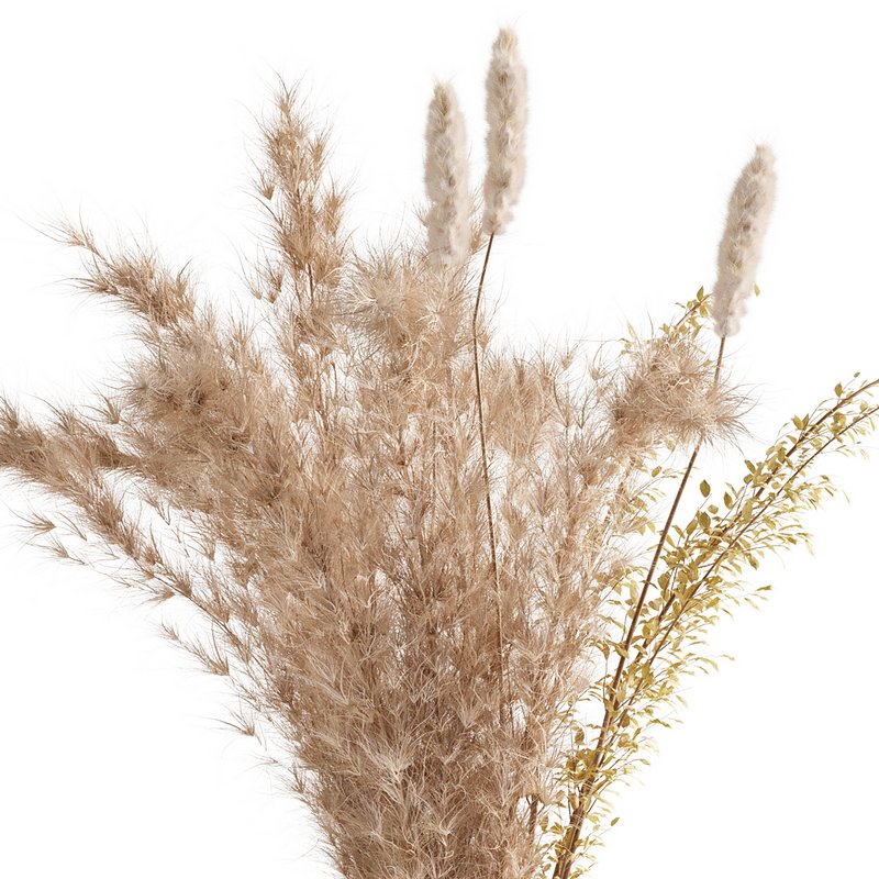 Pampas Bouquet - Image 5