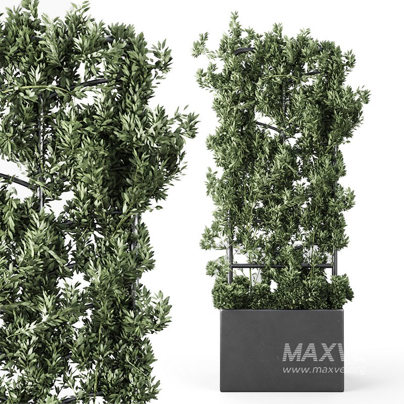 Botanical Planter - Image 6