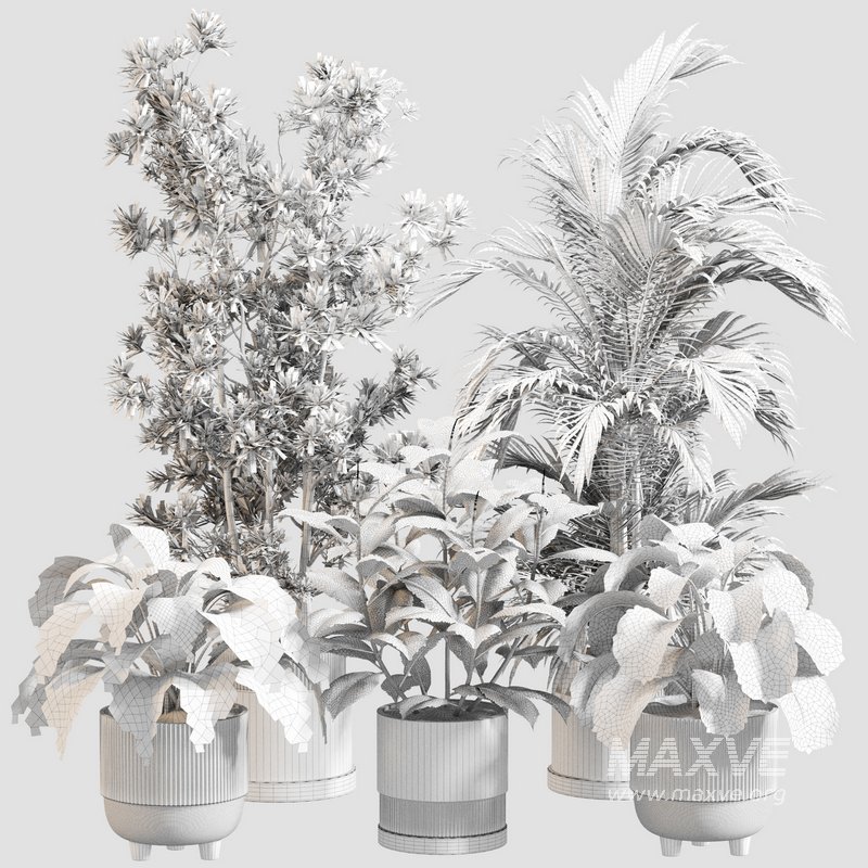 Indoor Plant Set 0116 - Image 5