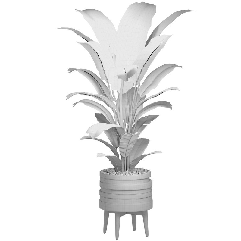 Indoor Plant Set 0128 - Image 5