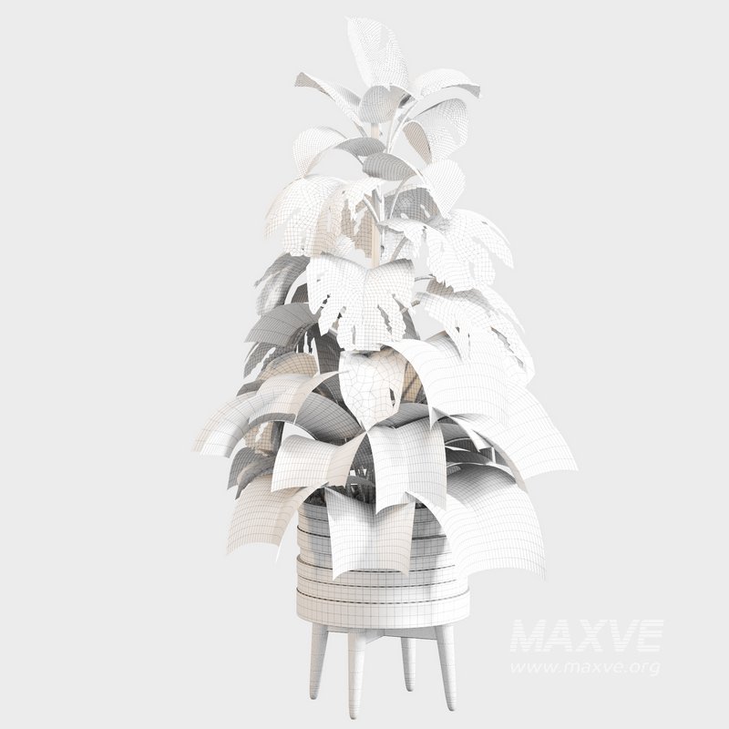 Indoor Plant Set 0126 - Image 5