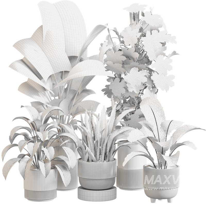 Indoor Plant Set 0115 - Image 5