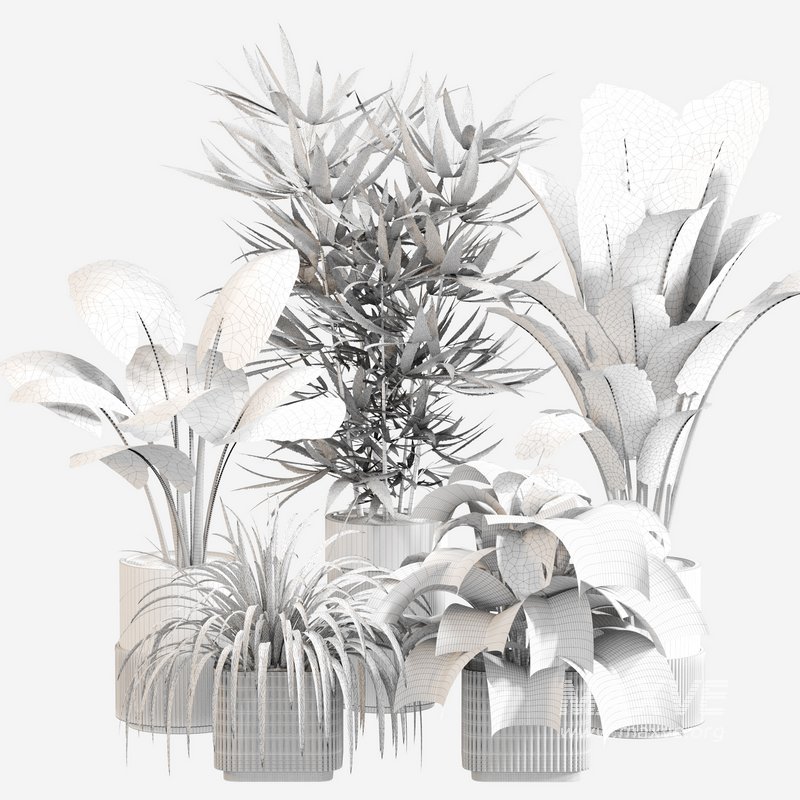 Indoor Plant Set 0108 - Image 4