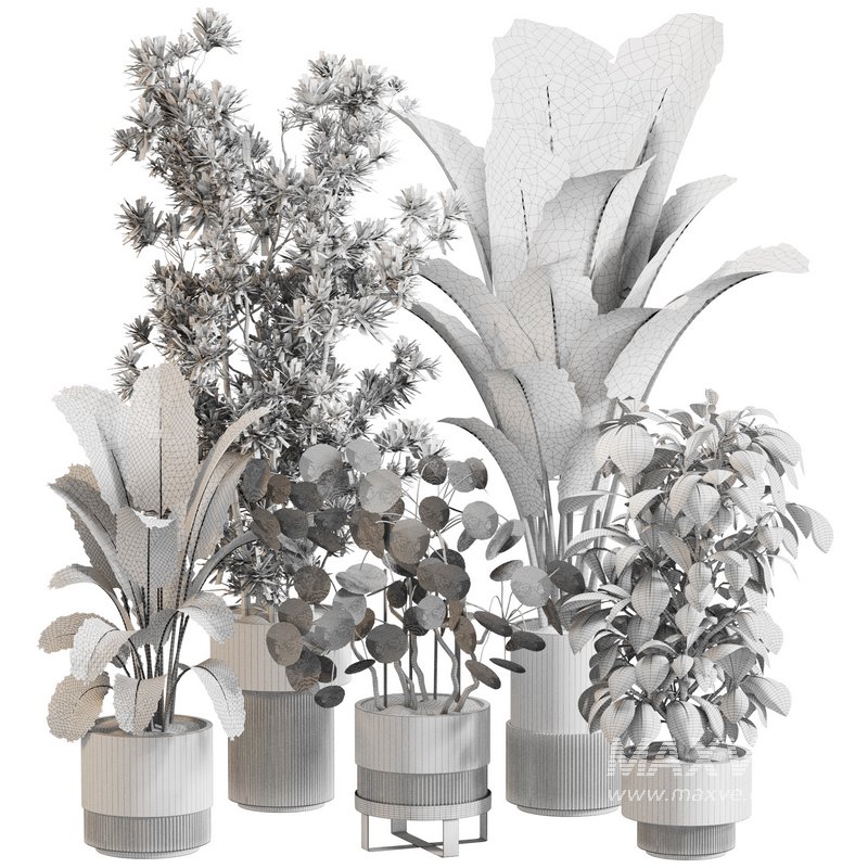 Indoor Plant Set 0121 - Image 5