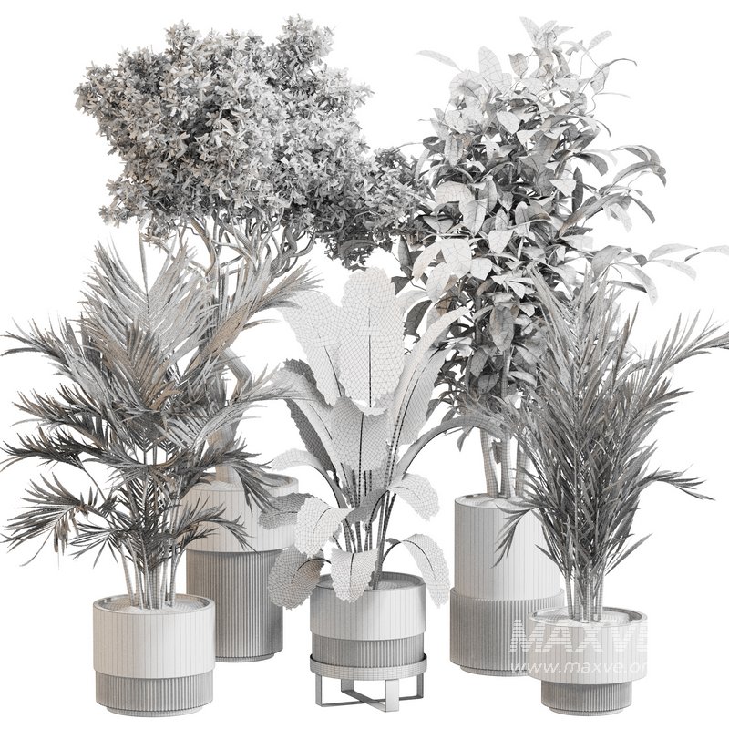 Indoor Plant Set 0118 - Image 5