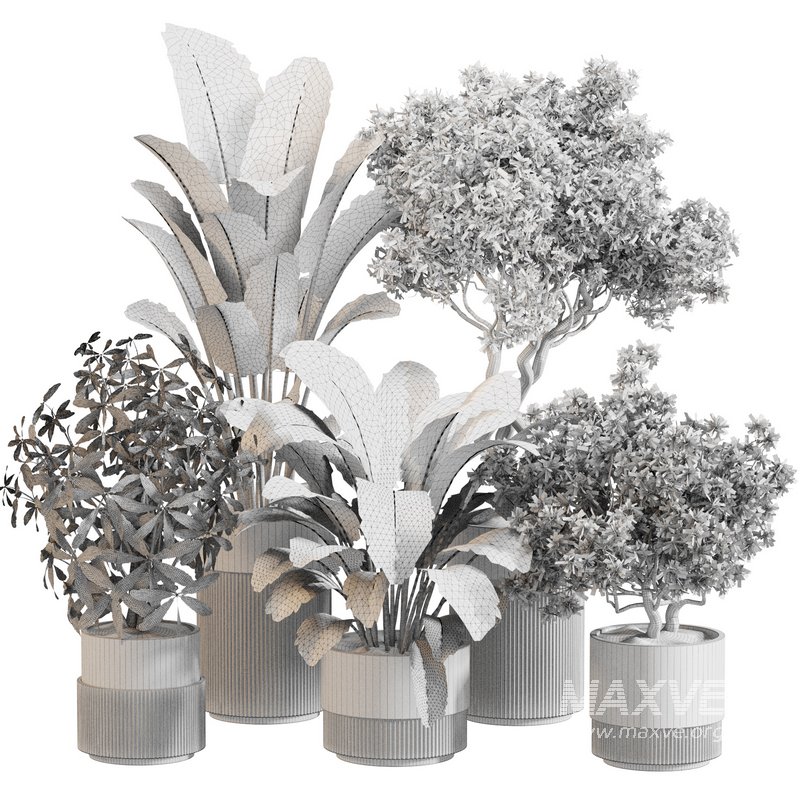 Indoor Plant Set 0120 - Image 5