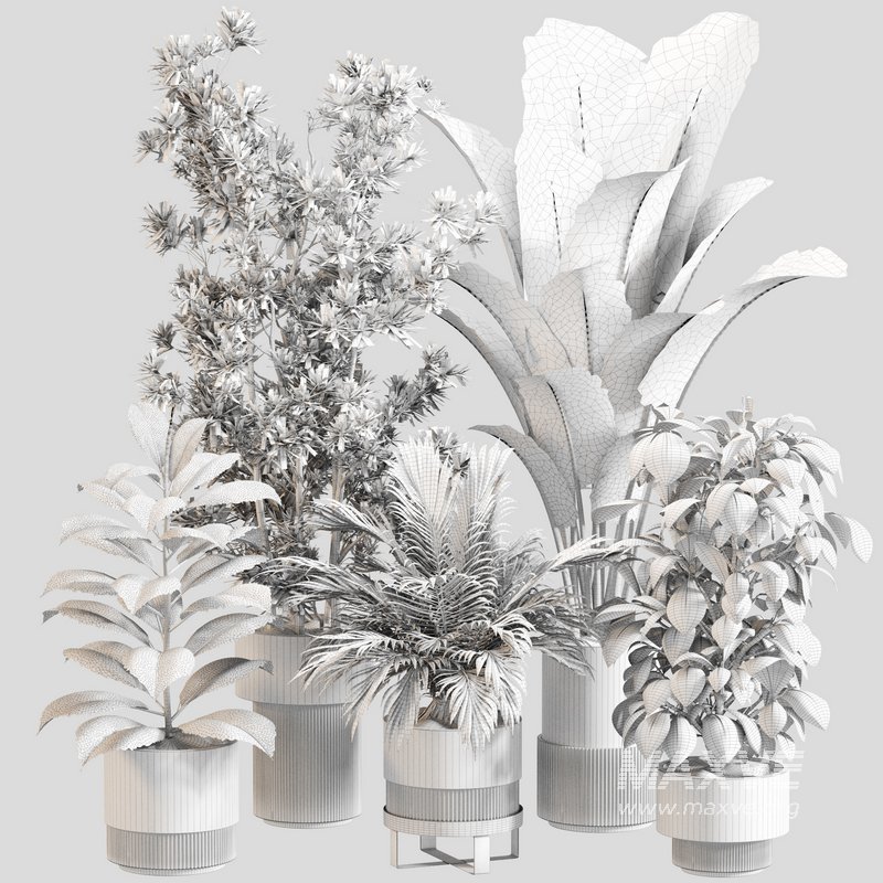 Indoor Plant Set 0114 - Image 4