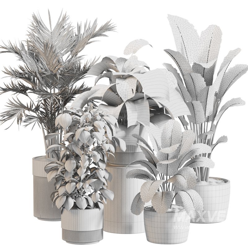 Indoor Plant Set 0117 - Image 5