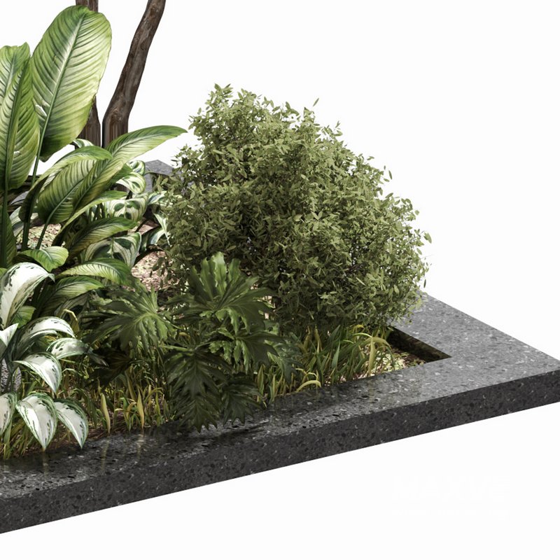 outdoor Plant Set 04 - Image 3