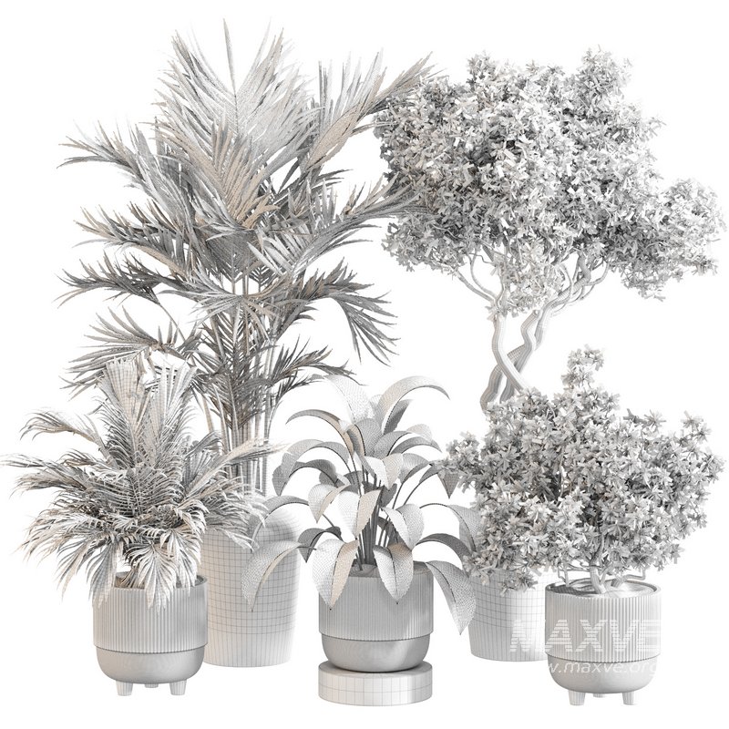 Indoor Plant Set 0123 - Image 5