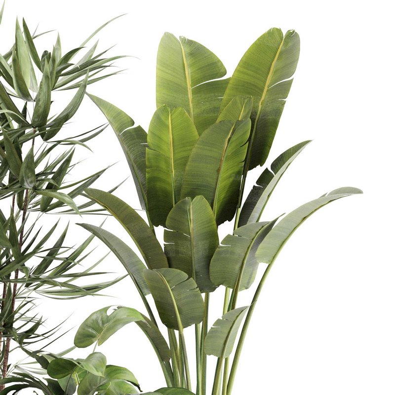 Indoor Plant Set 0108 - Image 5