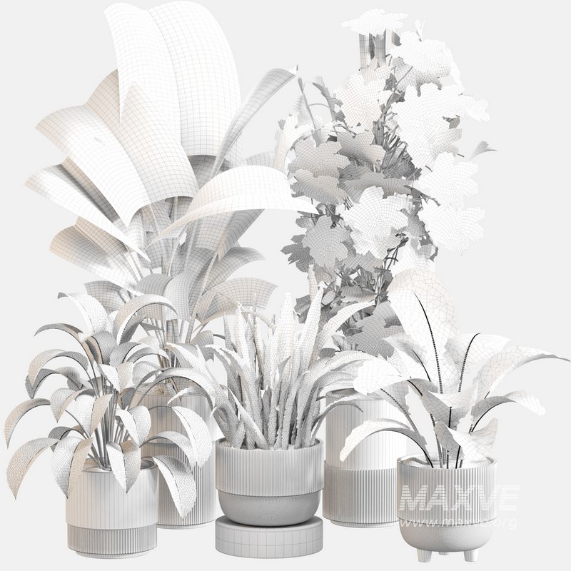 Indoor Plant Set 0115 - Image 5