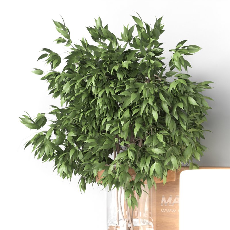 Isla Wall Mounted Lamp & Glass Vase - Image 7