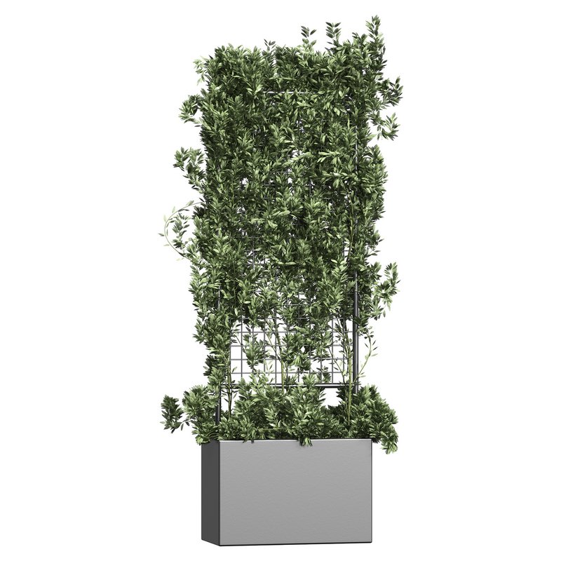 Botanical Planter 2 - Image 6