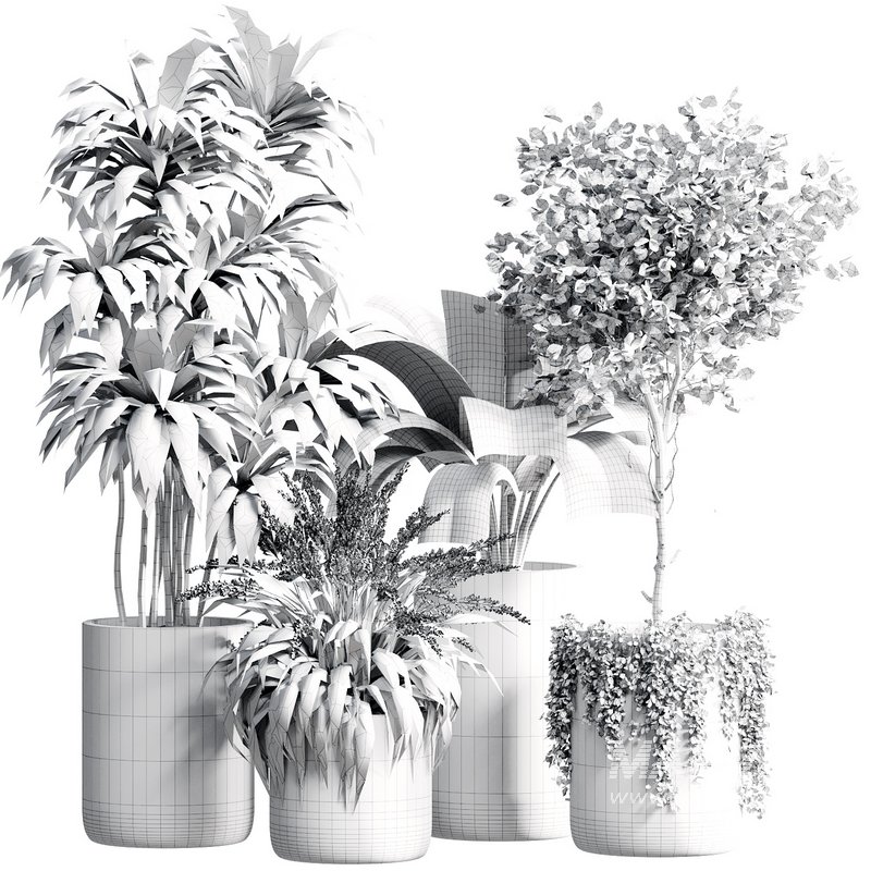 Indoor Plant 23 - Image 6