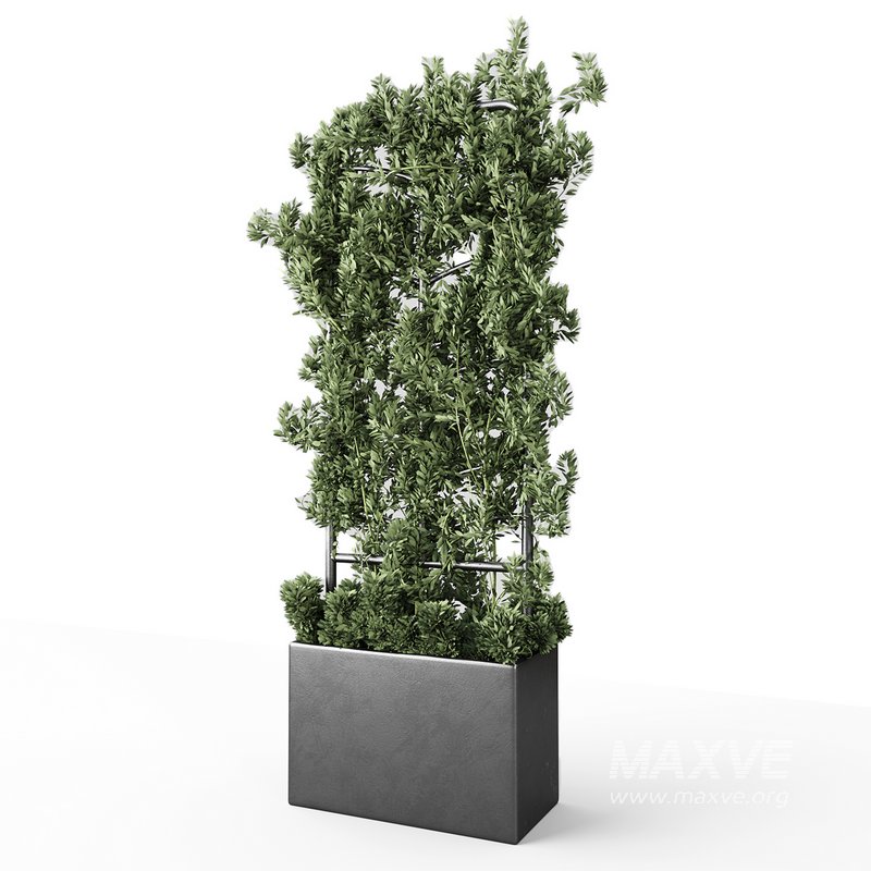 Botanical Planter - Image 5