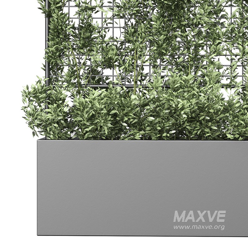 Botanical Planter 3 - Image 6